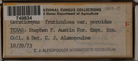 Image Associated With the Occurence